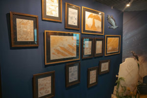 expo-maze_02-1024x683